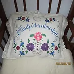 Erdosmecskei Svab Vendeghazak Es Jurtaszallas