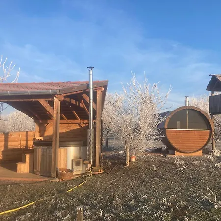 Erdosmecskei Svab Vendeghazak Es Jurtaszallas Guest house