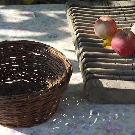 Erdosmecskei Svab Vendeghazak Es Jurtaszallas