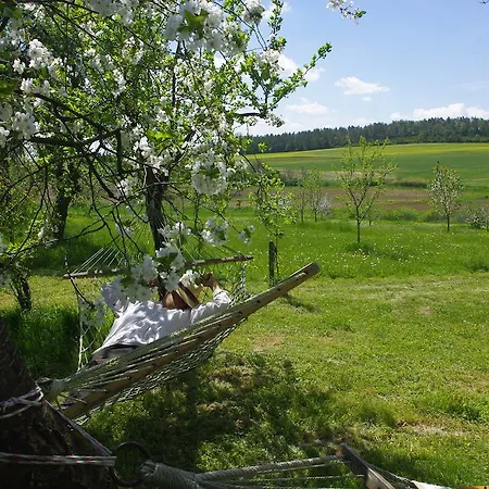 Gasthof Erdosmecskei Svab Vendeghazak Es Jurtaszallas Erdosmecske