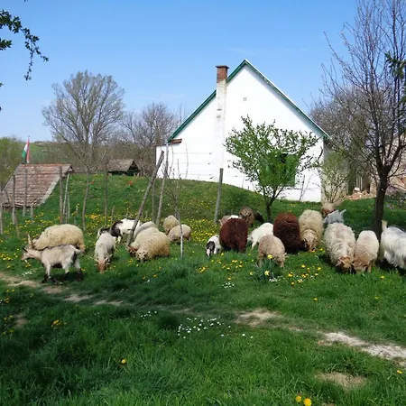 Vendégház Erdősmecskei Sváb és Jurtaszállás
