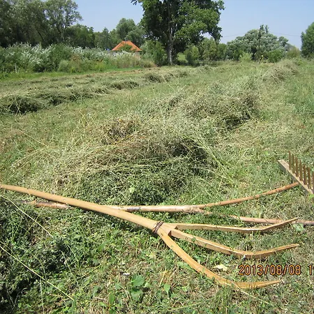 Vendégház Erdősmecskei Sváb és Jurtaszállás *