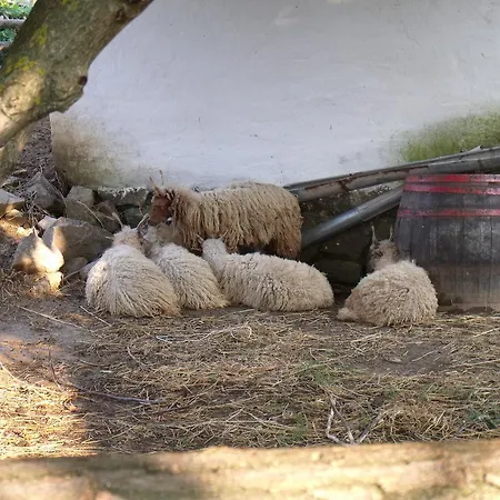 Gasthof Erdosmecskei Svab Vendeghazak Es Jurtaszallas