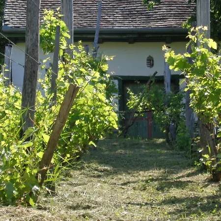Guest house Erdosmecskei Svab Vendeghazak Es Jurtaszallas Erdosmecske