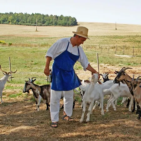 Erdosmecskei Svab Vendeghazak Es Jurtaszallas Erdosmecske