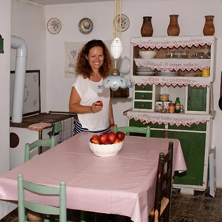 Erdosmecskei Svab Vendeghazak Es Jurtaszallas Guest house