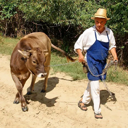 Gasthof Erdosmecskei Svab Vendeghazak Es Jurtaszallas