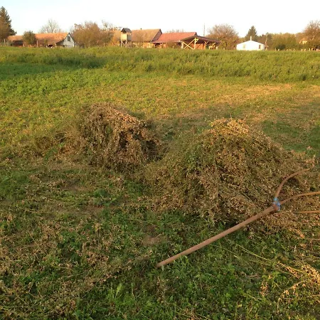 Erdosmecskei Svab Vendeghazak Es Jurtaszallas 3*