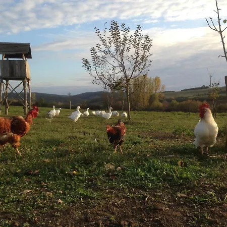 Erdosmecskei Svab Vendeghazak Es Jurtaszallas 3*